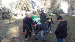 a copertino i ragazzi si prendono cura dei vigneti