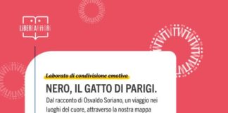 post nero, il gatto di parigi