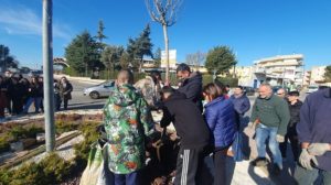 piantumazione dell'albero nella rotatoria di via vaccarella