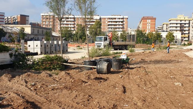 nuovi alberi e arbusti donati da confindustria giovani