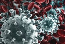 coronavirus mercoledì