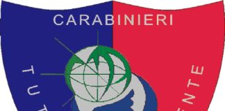 noe carabinieri logo