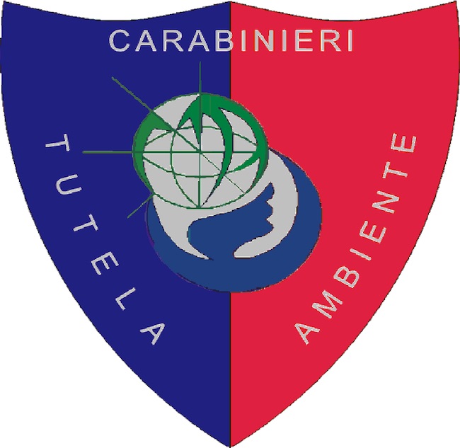noe carabinieri logo
