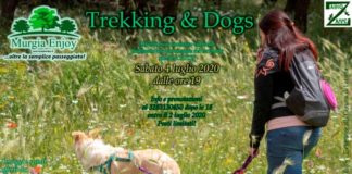 banner trekking & dogsrid