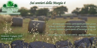 murgia 14 giugno 2020