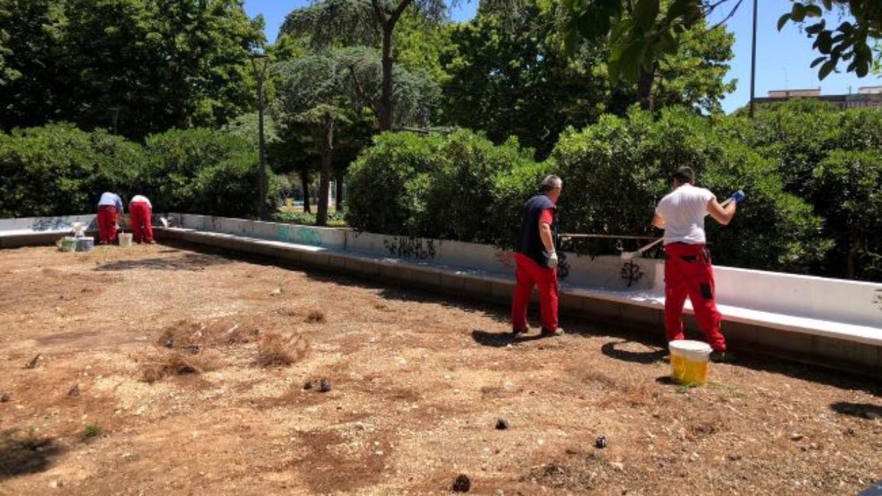 Bari Lavori In Corso A Parco 2 Giugno Segnalazioni Sulle Tartarughe