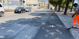 al via il cantiere per la risoluzione del problema causato dalle radici in viale delle regioni