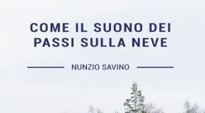 copertina libro suono passi sulla neve