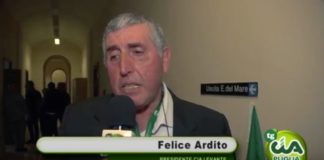 felice ardito (cia levante)