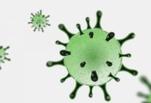 coronavirus martedì