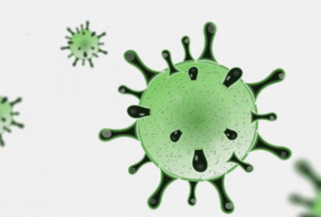 coronavirus martedì