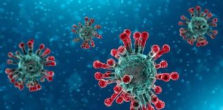 coronavirus lunedì