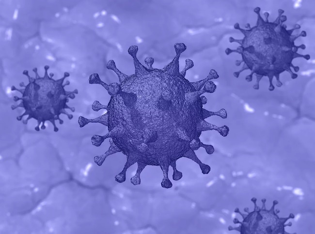 Bollettino Coronavirus Puglia, i dati di oggi 18 dicembre 2022