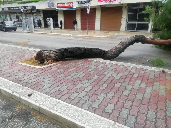 forti raffiche di vento, disagi e interventi in città