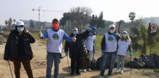 salvato falco pellegrino durante la raccolta rifiuti