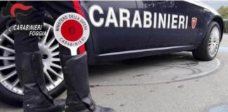 carabinieri foggia