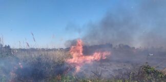 primavera 'di fuoco' nel parco di rauccio