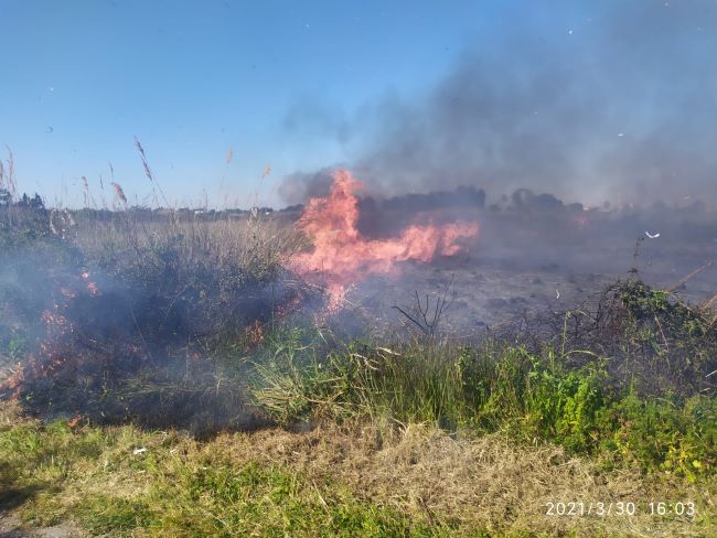 primavera 'di fuoco' nel parco di rauccio