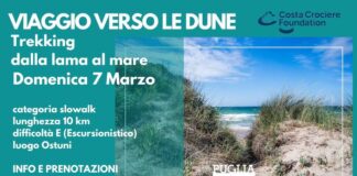 viaggio-verso-le-dune