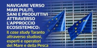 locandina webinar parlamento europeo