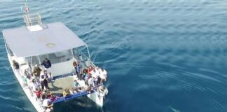 catamarano jdc con delfini da drone