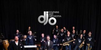 dolphins jazz orchestra