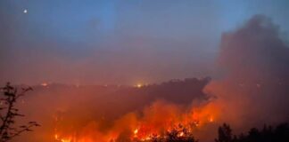 l'incendio nel versante di vico