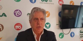 onofrio giuliano (presidente distretto puglia federiciana)