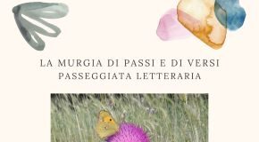 locandina la murgia di passi e di versi