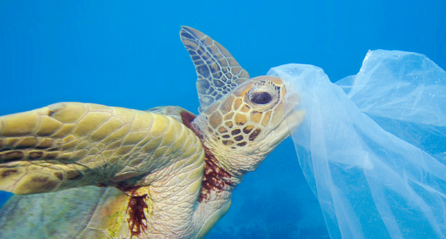 mediterraneo ed europa, il mare e la plastica cos'è la strategia marina (foto -agenzia dire)