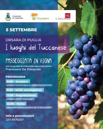 locandina passeggiata in vigna 5 settembre