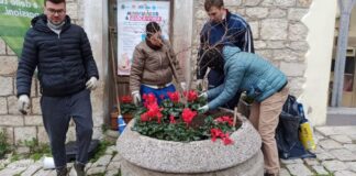 ciclamini ad orsara di puglia