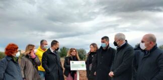 progetto di forestazione urbana promosso da Fastweb nell’ambito della campagna nazionale “mosaico verde”