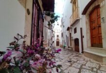 putignano, per le strade del natale