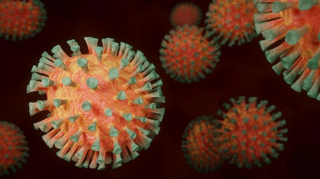 Bollettino Coronavirus Puglia, i dati di oggi 20 luglio 2022