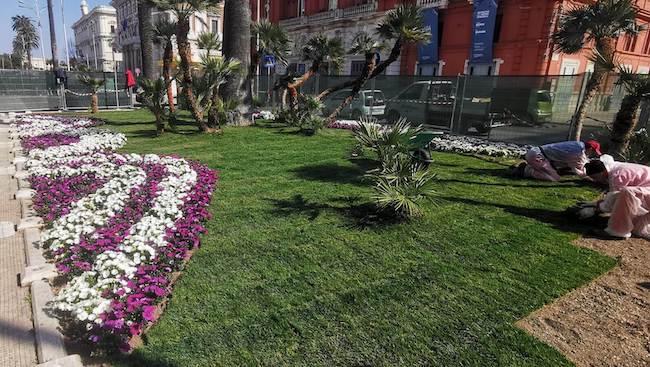 Bari, pronte le prime due aiuole di fronte al Teatro Petruzzelli Bari, pronte le prime due aiuole di fronte al Teatro Petruzzelli