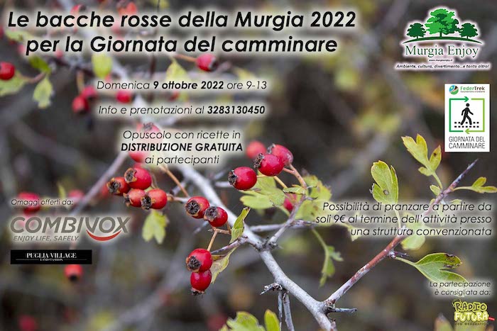 Cassano delle Murge, “Le bacche rosse della Murgia 2022 per la Giornata del camminare” Cassano delle Murge, “Le bacche rosse della Murgia 2022 per la Giornata del camminare”