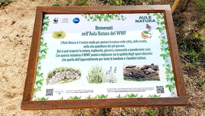 Taranto, “Aule Natura”: l’11 ottobre all’IC R. Frascolla il bilancio del progetto Taranto, “Aule Natura”: l’11 ottobre all’IC R. Frascolla il bilancio del progetto