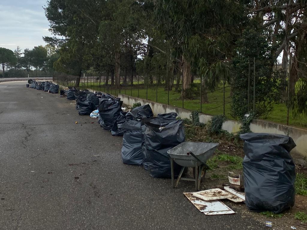Francavilla Fontana, rimozione rifiuti illecitamente depositati Francavilla Fontana, rimozione rifiuti illecitamente depositati