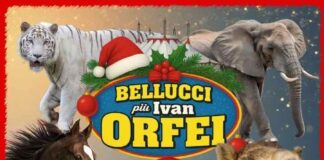 Il Circo Bellucci arriva a Taranto per le feste natalizie