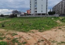 Bari, Bosco sociale di Loseto: quasi ultimata la messa a dimora delle fitocelle