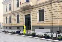 Bari, riqualificazione di via Manzoni: al via le piantumazioni