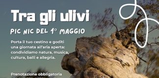 Primo Maggio, Pic Nic tra gli ulivi secolari a Castellana Grotte