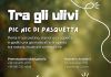 Tra gli Ulivi: Pic Nic di Pasquetta a Castellana Grotte