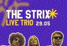 Concerto del trio Strix al PalaBarTino di Bari