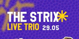 Concerto del trio Strix al PalaBarTino di Bari