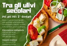 Picnic tra gli ulivi secolari a Castellana Grotte