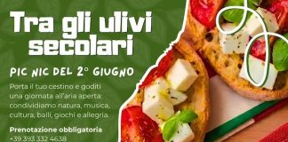Picnic tra gli ulivi secolari a Castellana Grotte