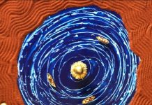 “Natura Naturans”, la nuova mostra di Angelo Pellegrino a Melendugno