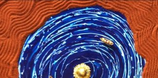 “Natura Naturans”, la nuova mostra di Angelo Pellegrino a Melendugno